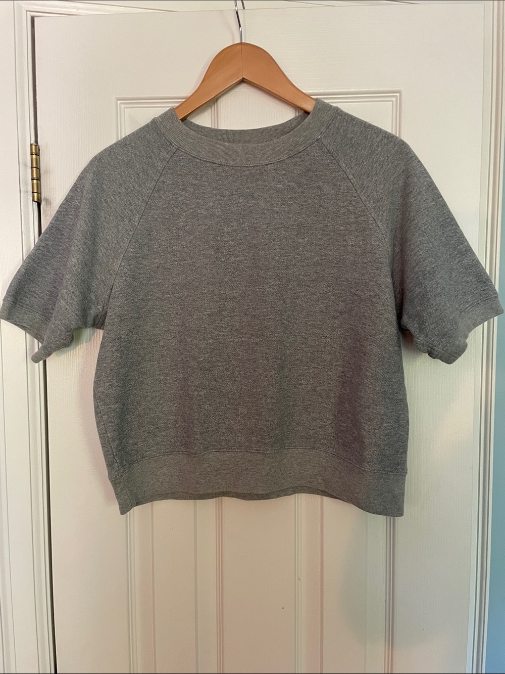 Everlane Short-Sleeve Crewneck Sweatshirt in Grey